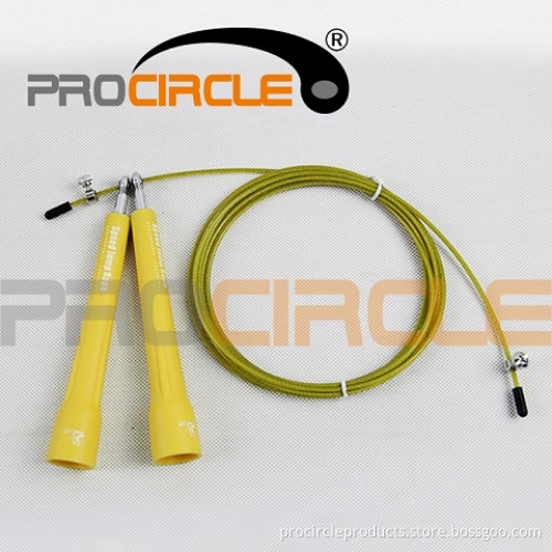 Procircle High Quality Pattern Handle with Bearing (PC-JR1060)